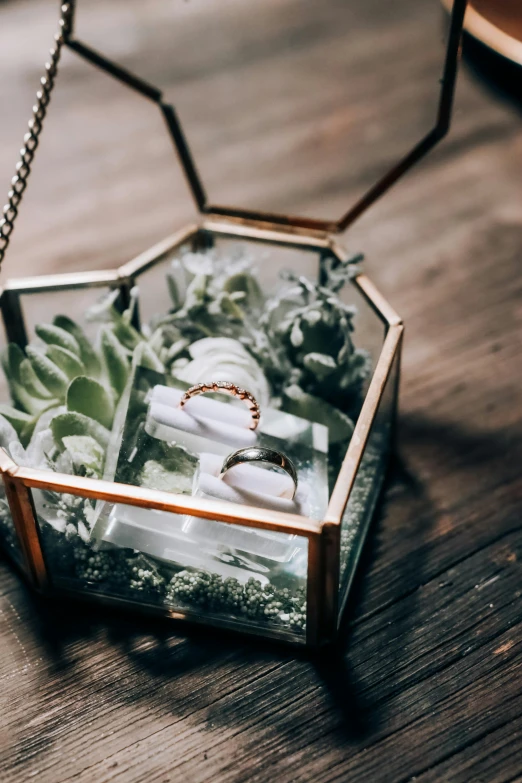 small glass box with ring on top on wooden floor