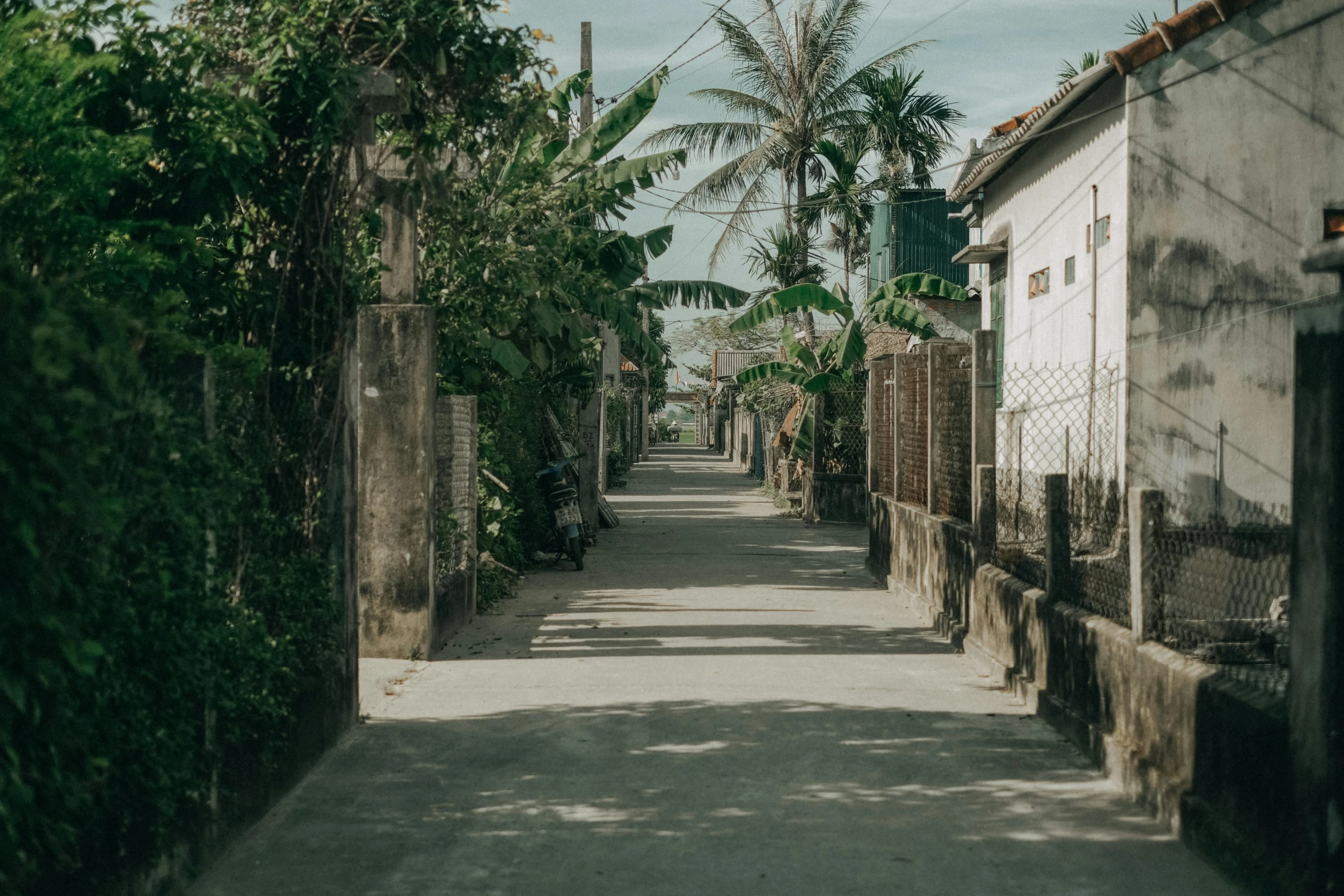 a picture of a street with a few houses and trees