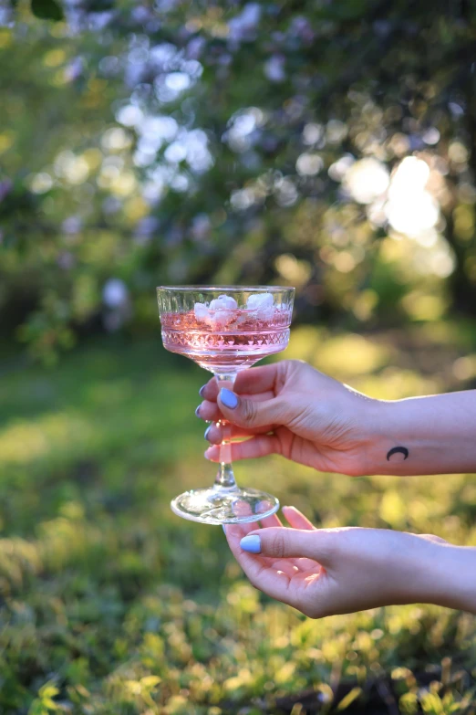 the person is holding a wine glass filled with fruit