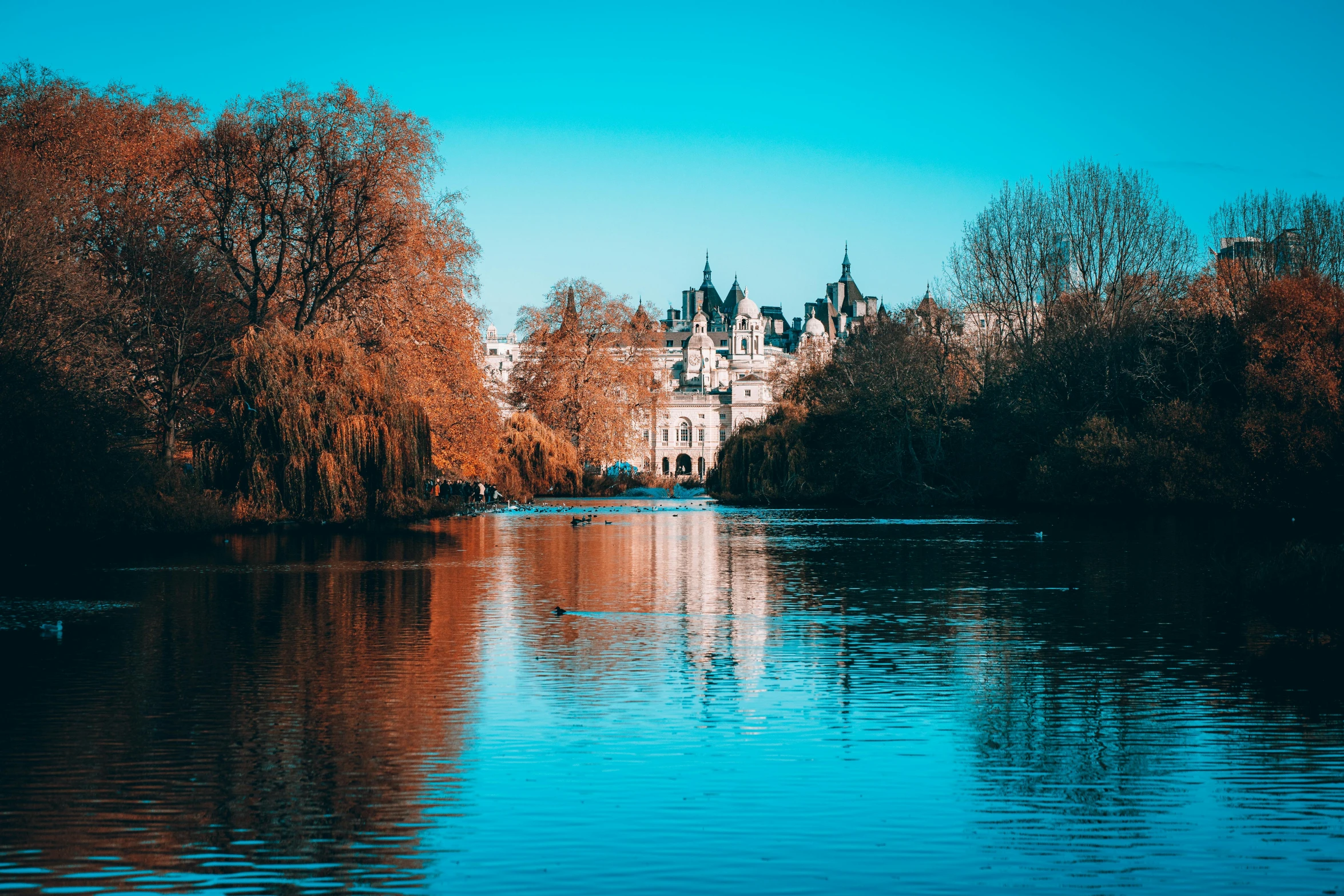 a body of water with trees around it