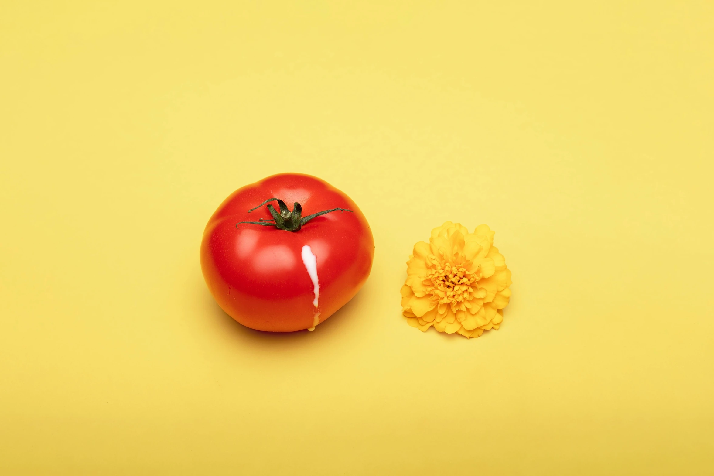 a whole tomato and a yellow flower on a yellow surface