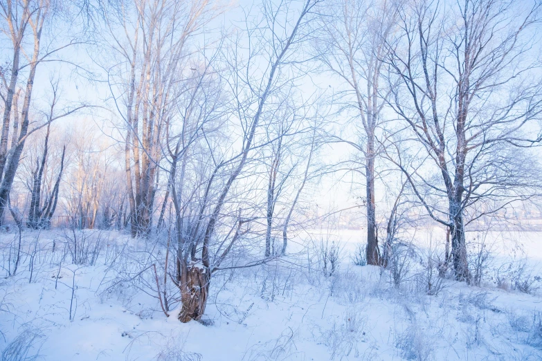 there is a snow covered field and some trees