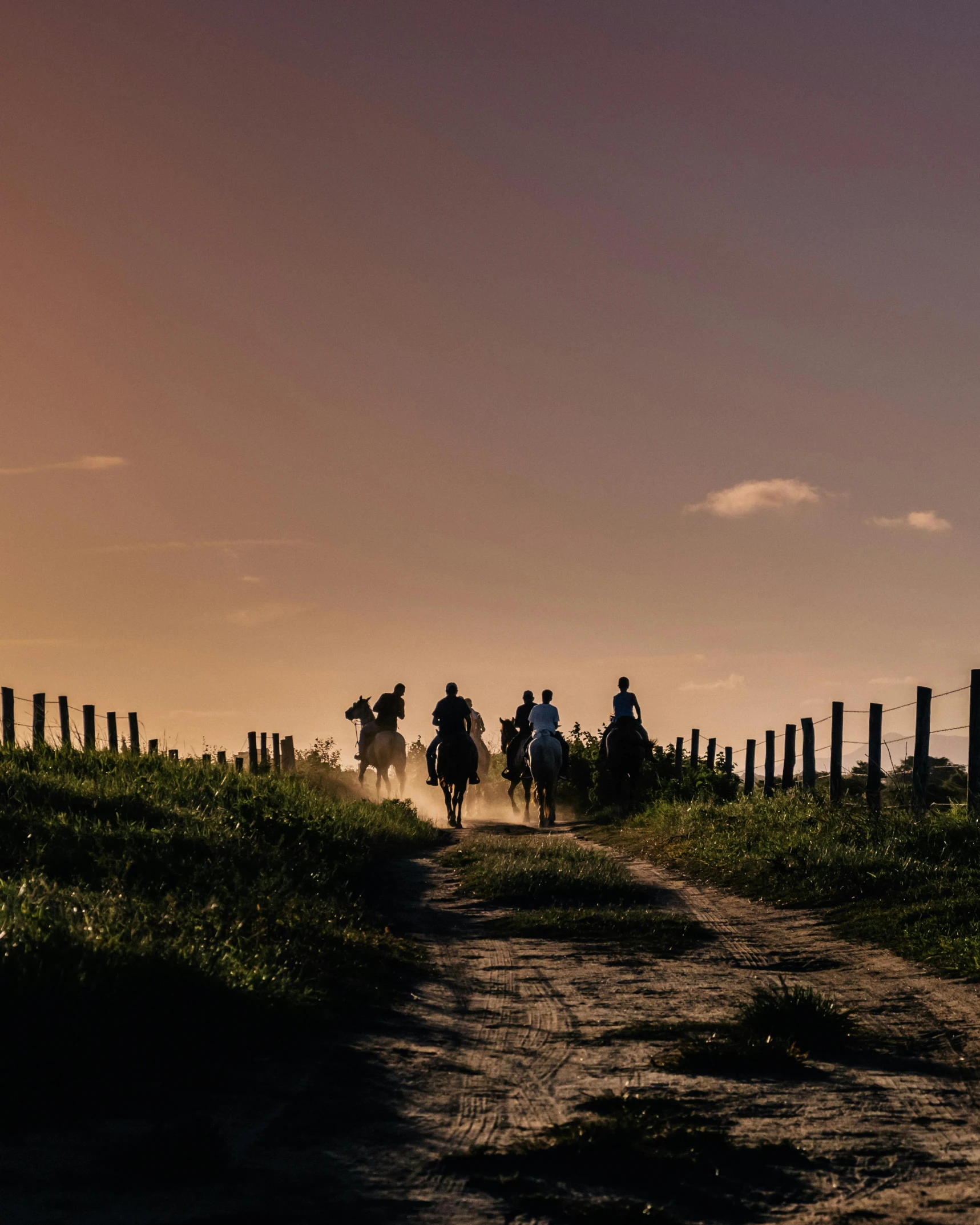 people are riding horses up a hill