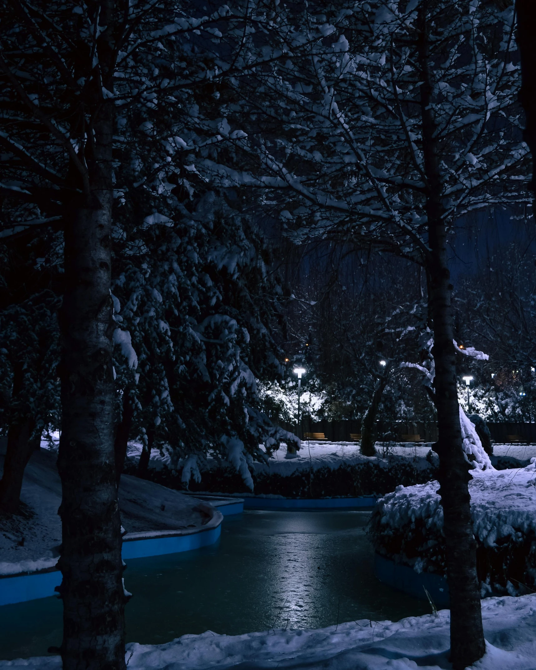 a pond in a park is covered by snow and trees at night