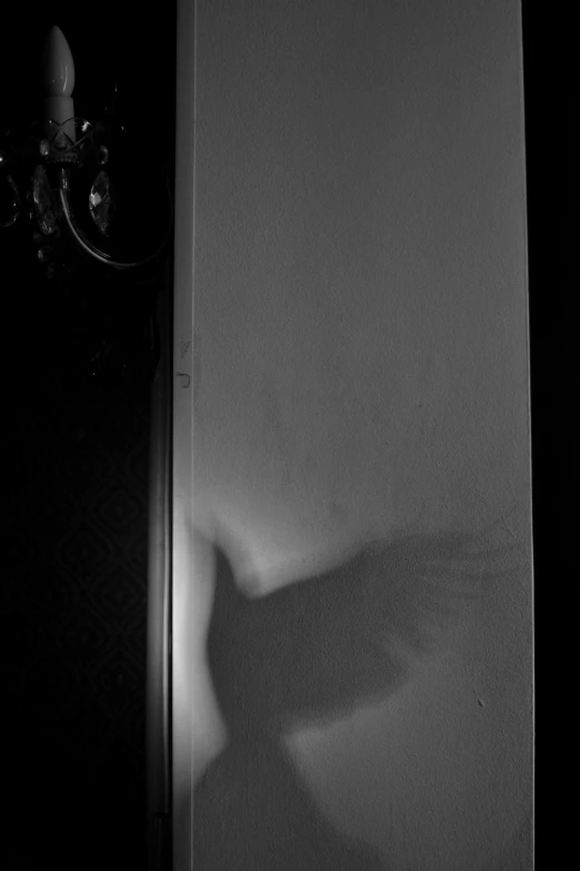 a shadow of a person with their arm behind a door
