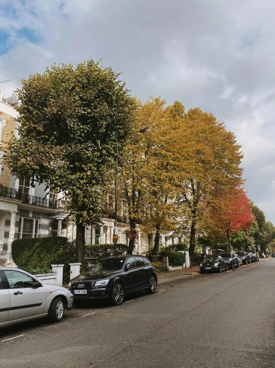 cars parked along a curb in a residential area