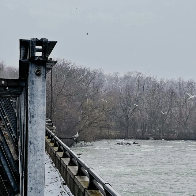 a snowy bridge over water with trees in the background