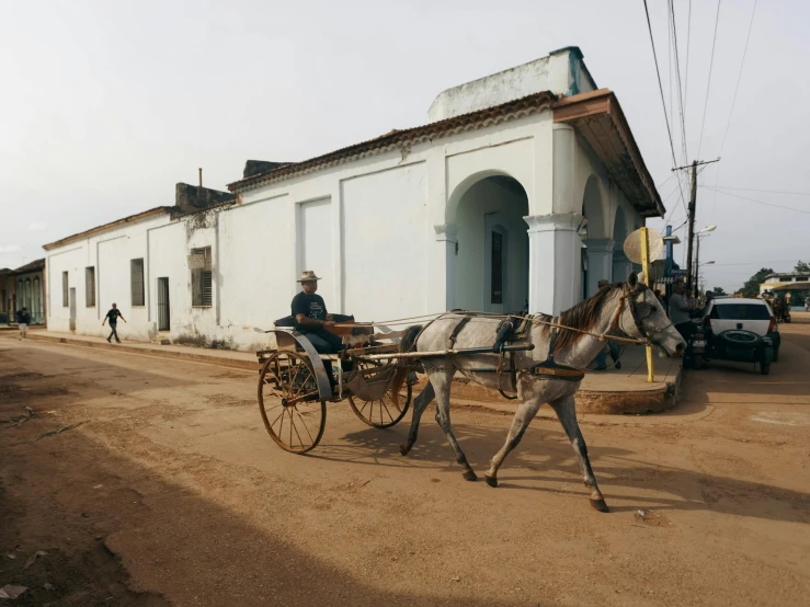 a horse pulls a carriage with it's driver down a road