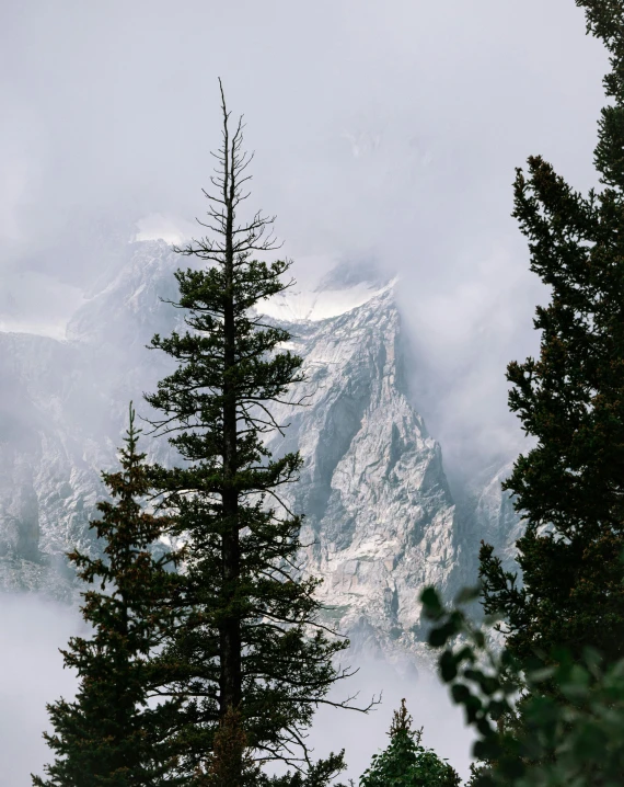 view from top of mountain with low fog