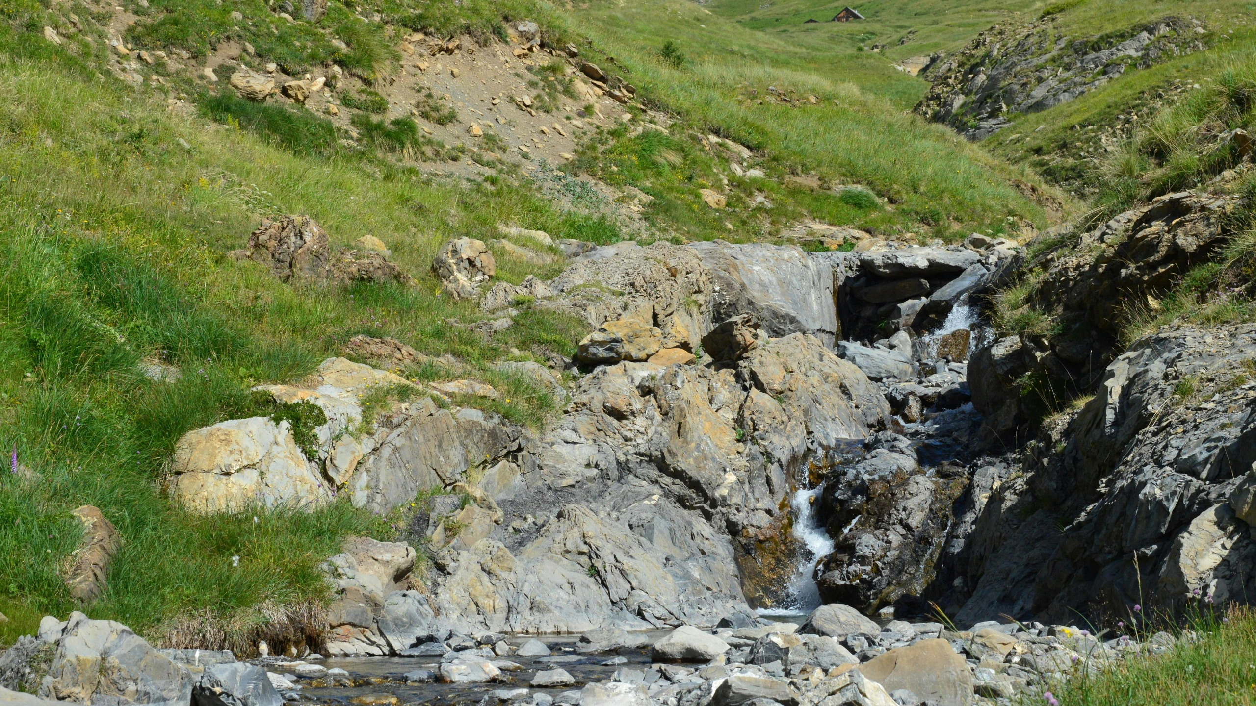 a bear is sitting on the edge of a cliff