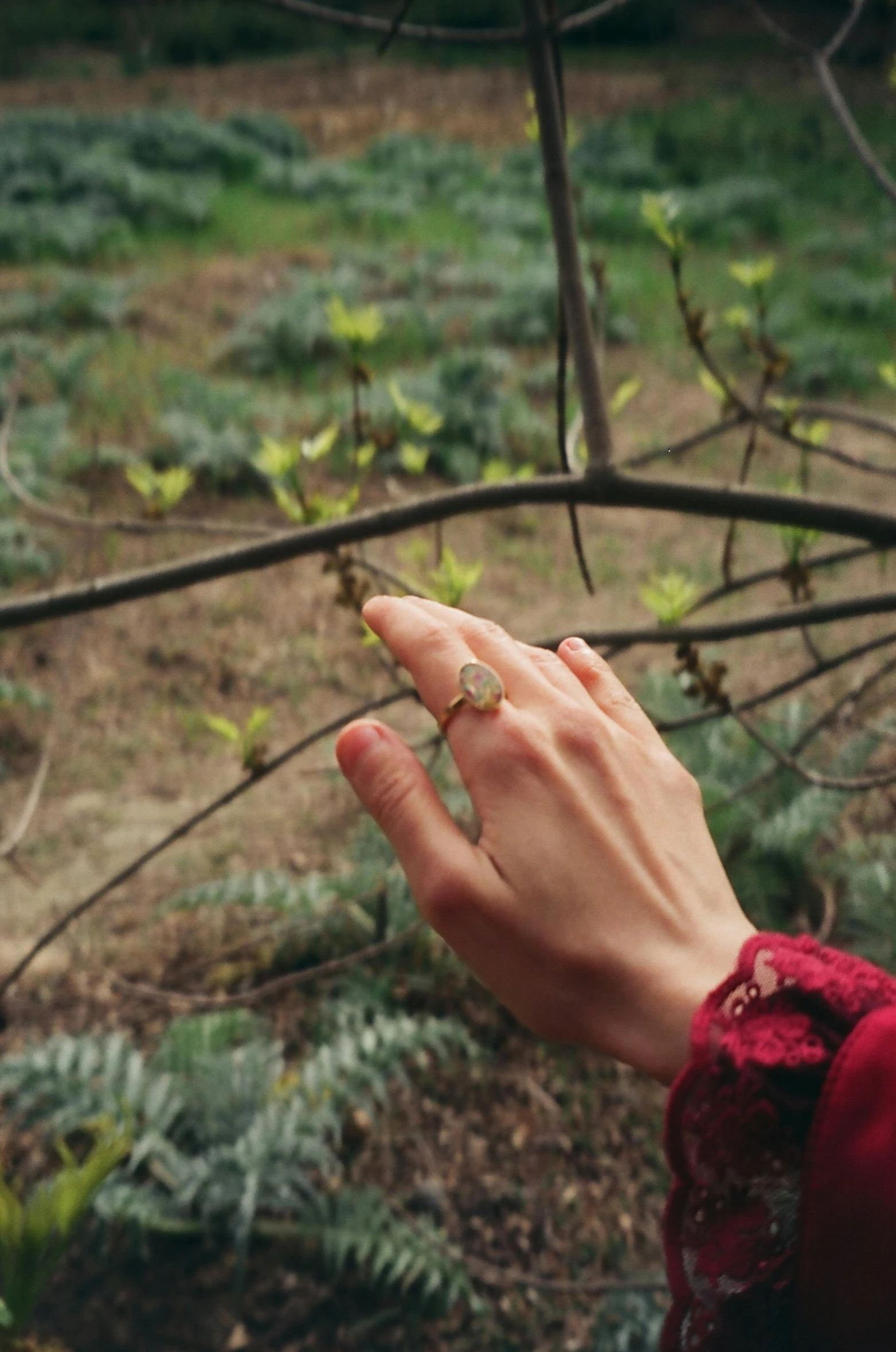 a woman wearing a wedding ring is standing next to a tree