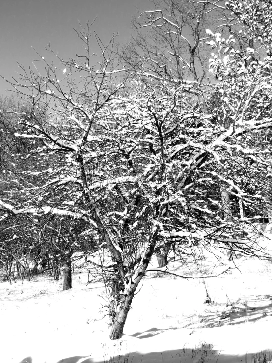 a person walking with snow across the snow