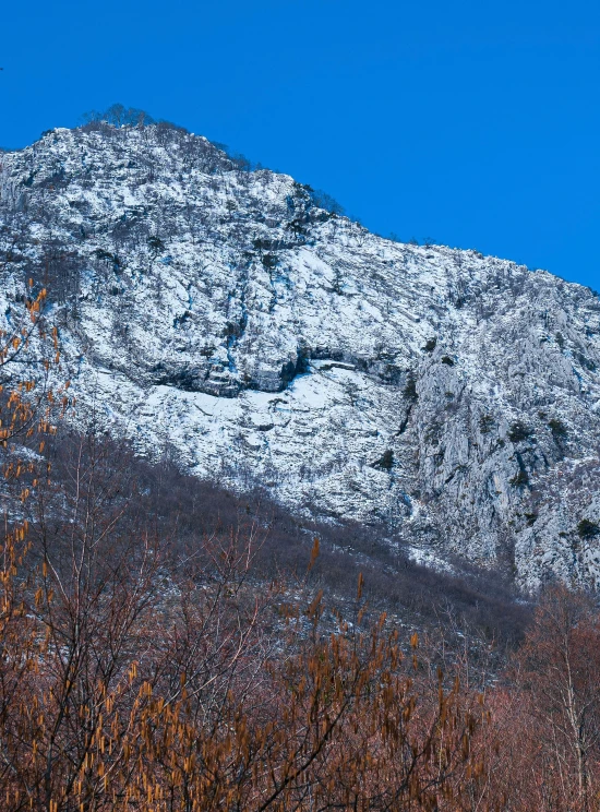 snow covered mountains, one mountain peak with trees in front of them