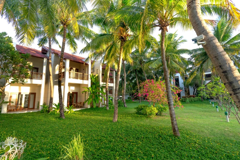 a large lawn with palm trees next to a building