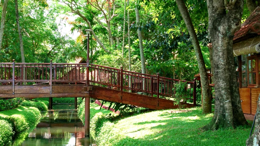 a small bridge crosses over a stream in a park