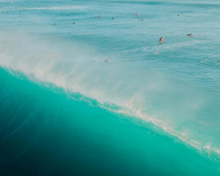 a body of water with several people swimming