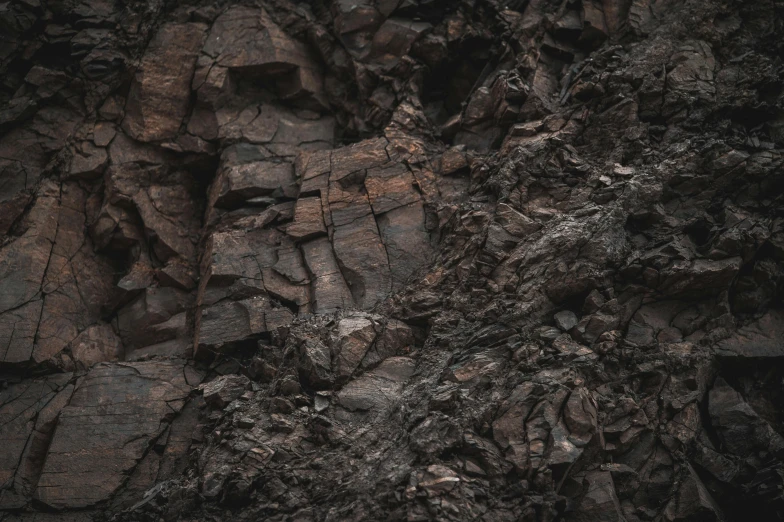 large, black rock is almost covered by dirt