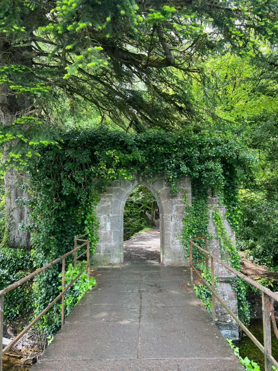 a stone tunnel in the woods with stairs and plants around