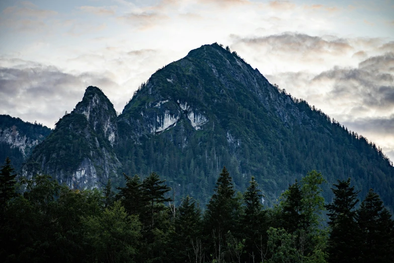 mountain peak in background with dense forest below