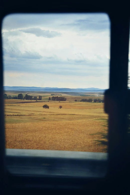 the view out a window looking over an open field with animals in it