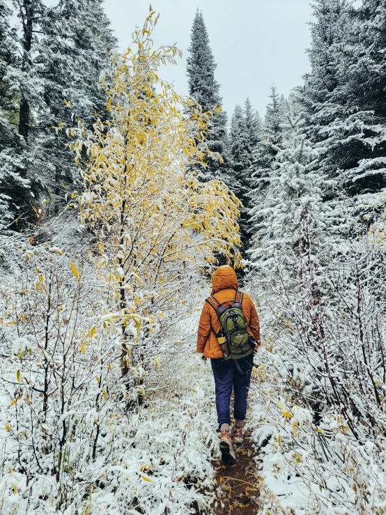 person wearing a backpack hiking on a snowy path