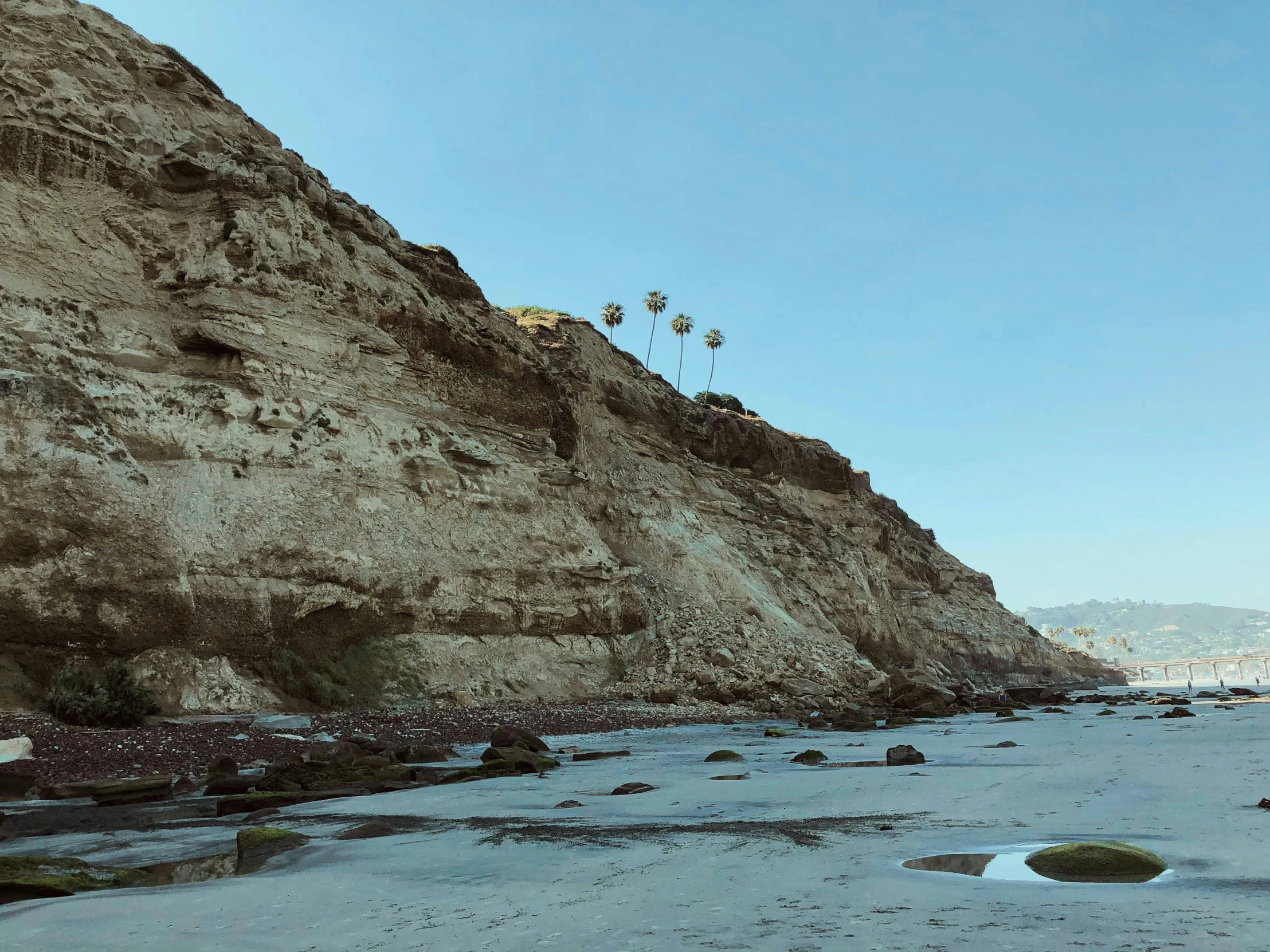 birds flying over a cliff overlooking a beach