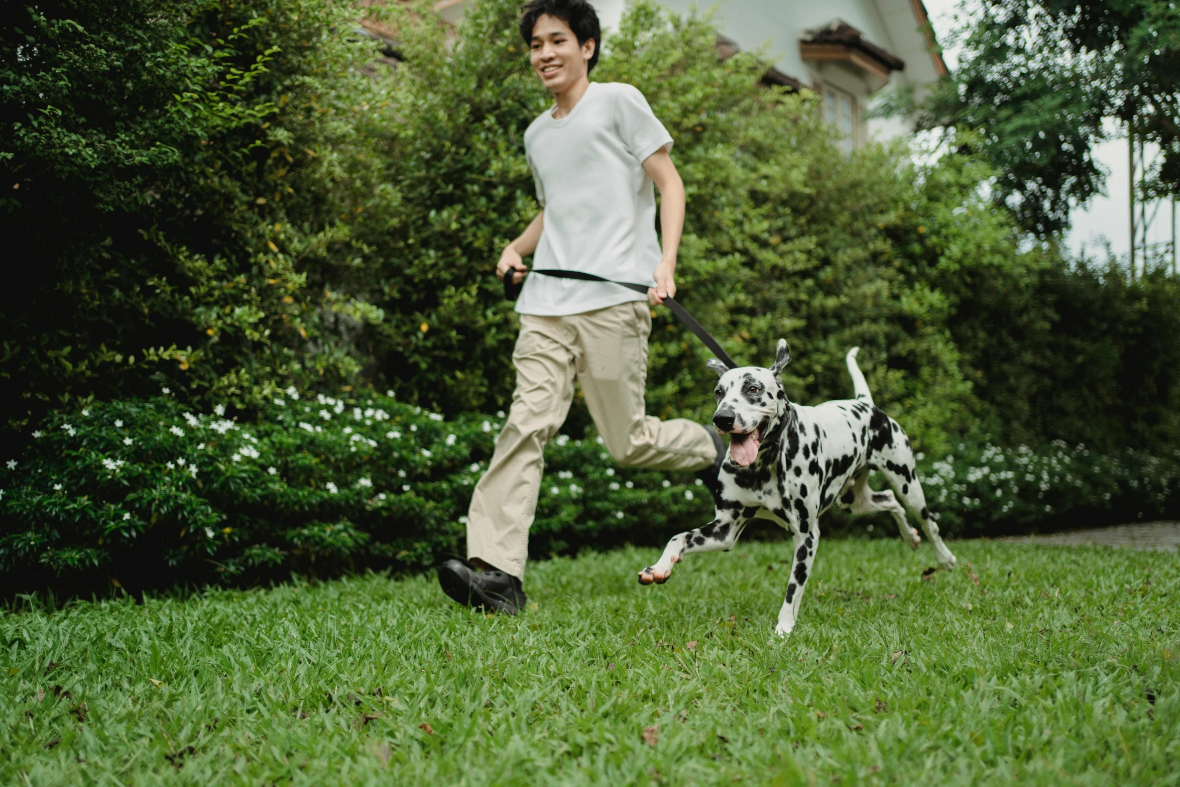 a man is playing with his dog in the yard