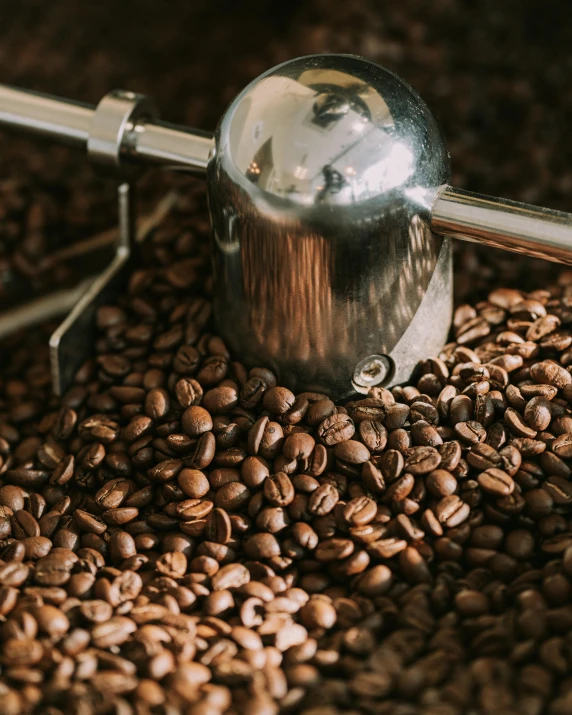 an overhead s of coffee beans being processed