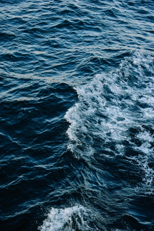 the front end of a boat that is floating on water