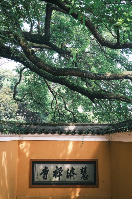 the asian calligraphy under the green leafed trees