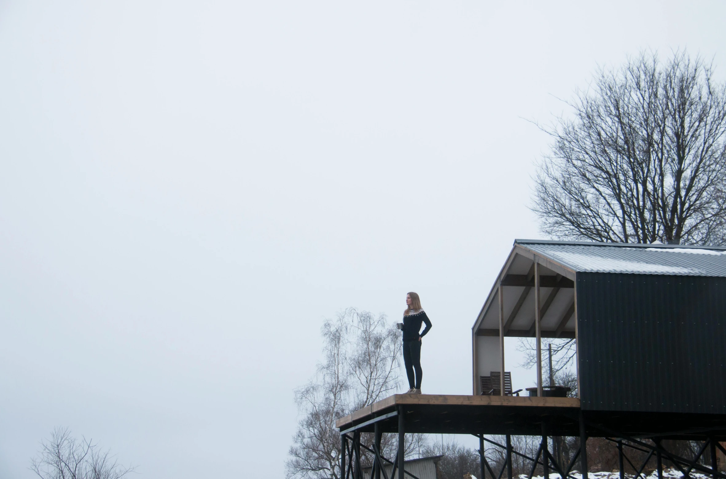 a woman standing on the roof of a house