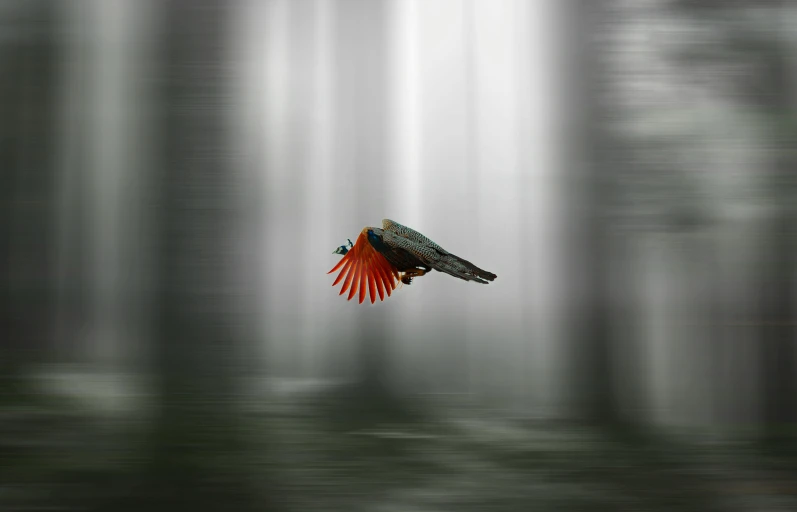 a red bird flying over a forest filled with trees