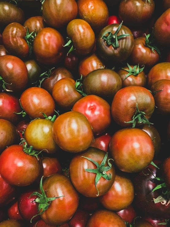 tomatoes are displayed as if for a pograph