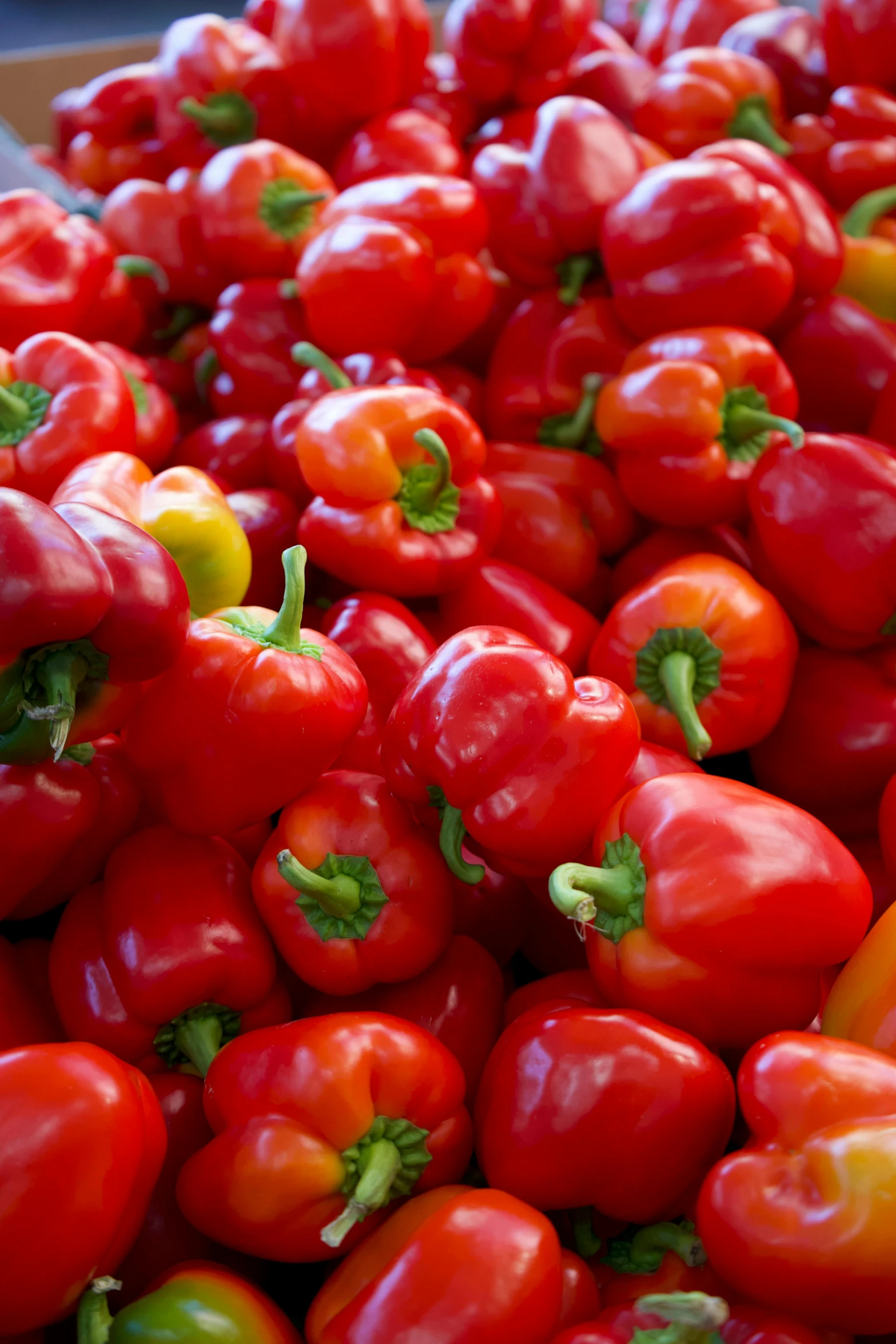 a large pile of red bell peppers