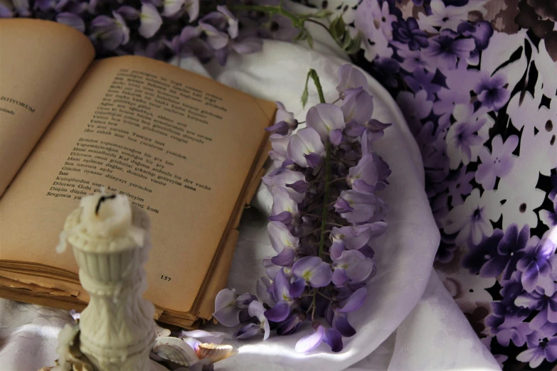 a vase that is holding some flowers near an open book