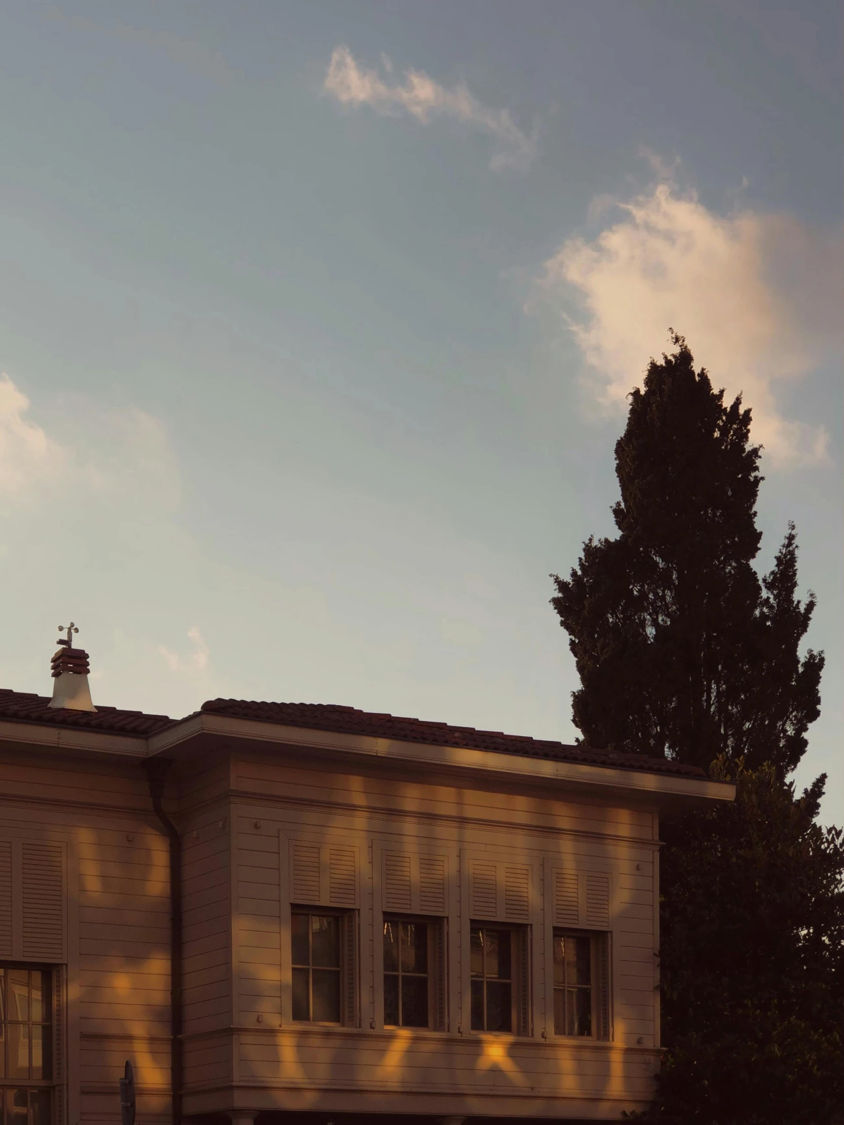 a large building with windows and the shadows of the trees