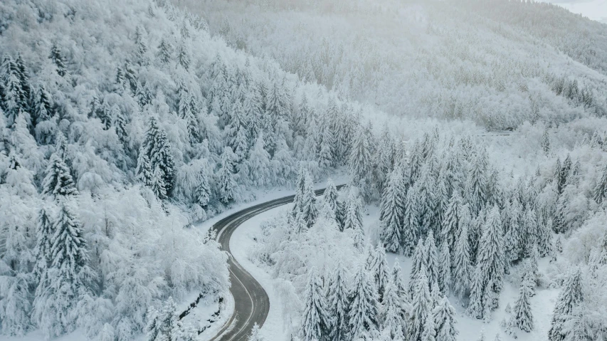 a mountain covered in snow with a road in the foreground