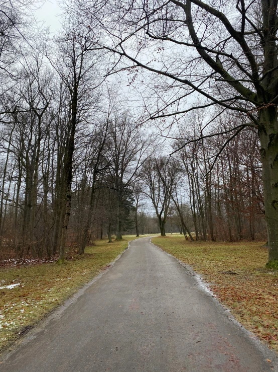 the road is lined with trees and leaves