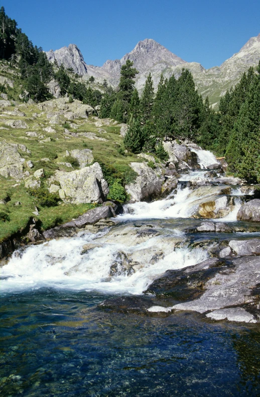 a stream in the mountains is running through the woods