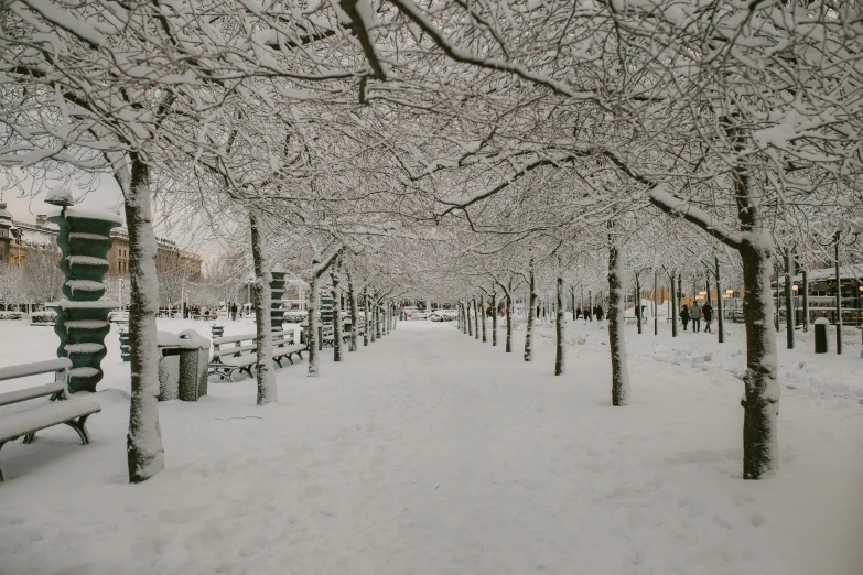 a walkway covered in snow during the winter