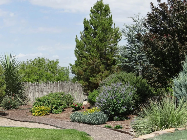 a garden and gravel path with various trees