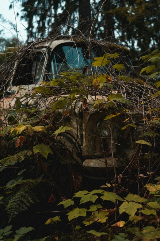 a van that is sitting in the dirt surrounded by trees