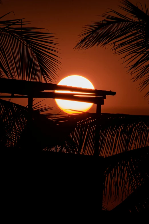 the sun is setting on a beach surrounded by trees