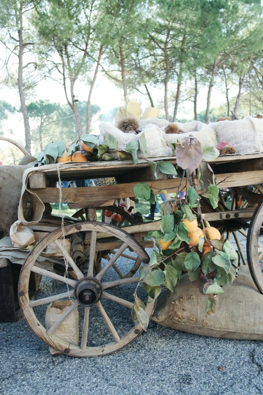an antique wooden wagon filled with different vegetables