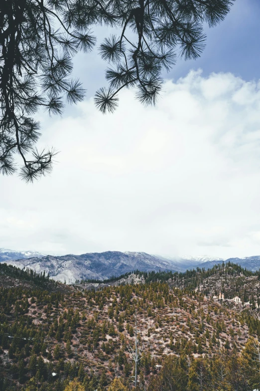 a barren land in the mountains with a few trees