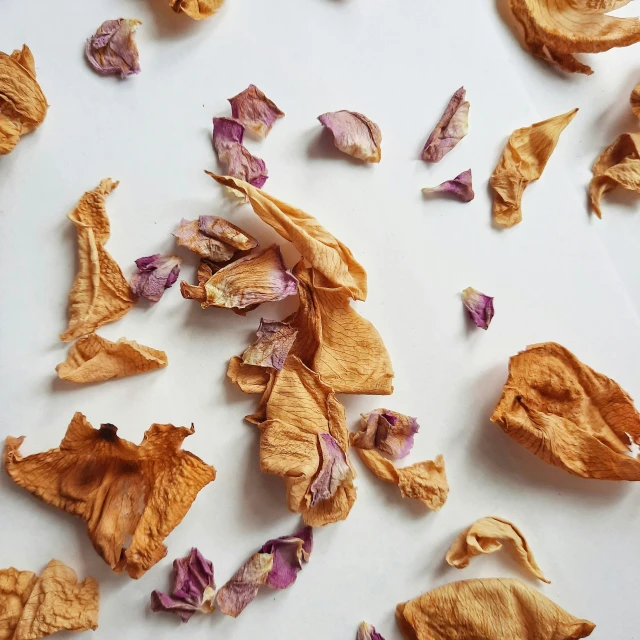 a group of dried rose petals sitting on top of a counter