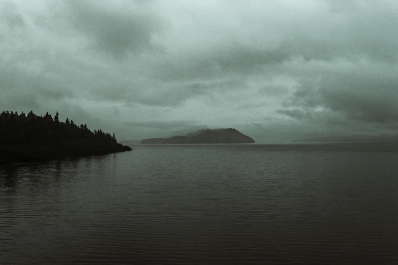 a large body of water with trees on the shore