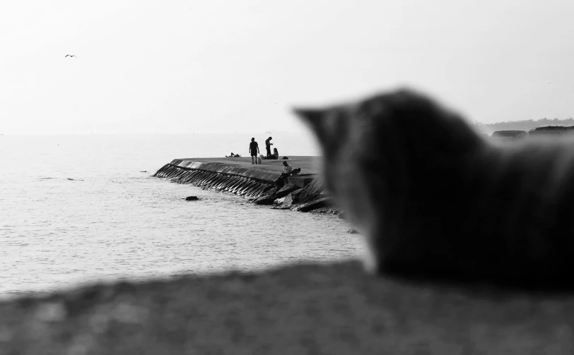 three people standing on the shore line watching some fishing