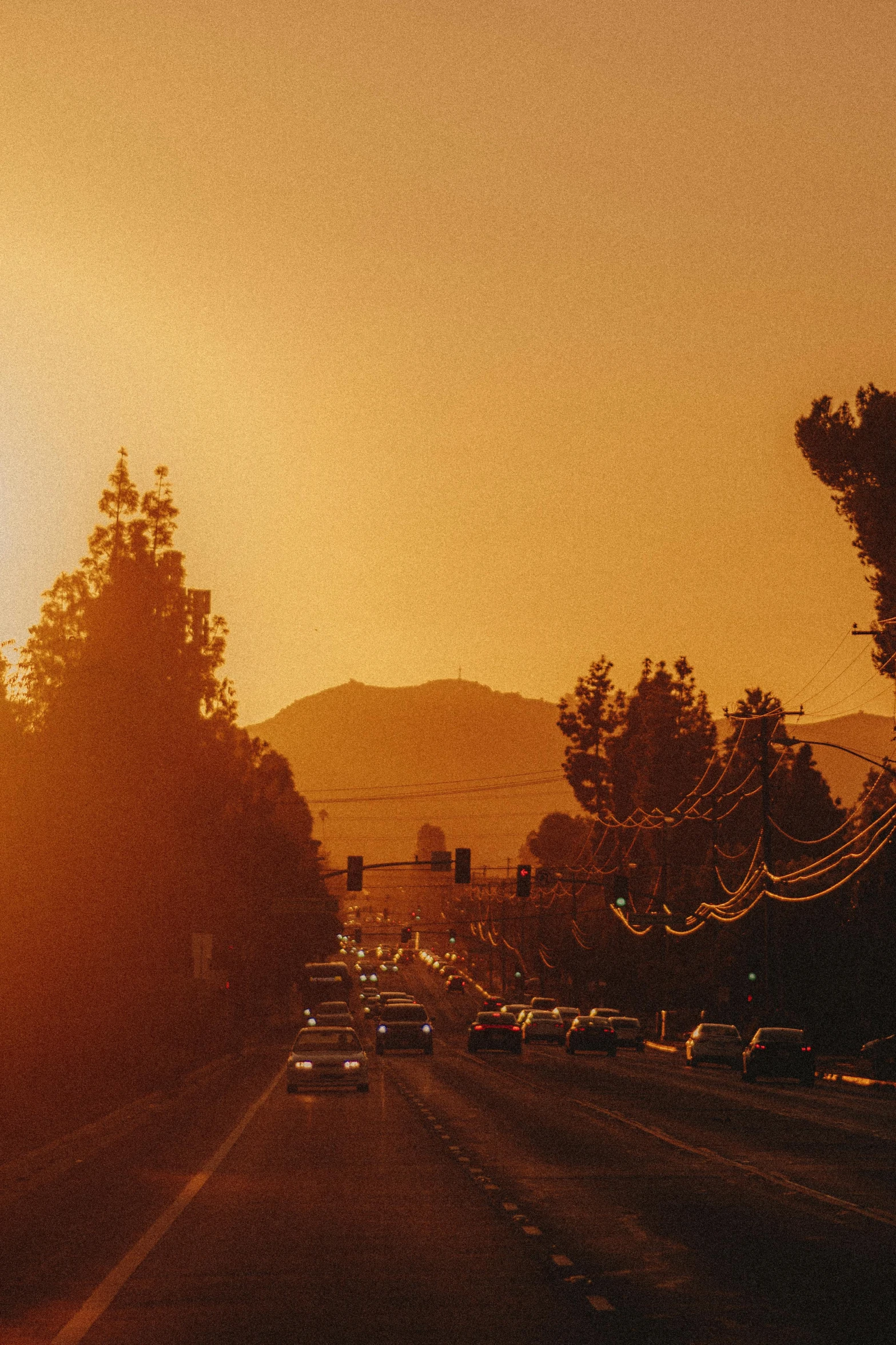 sun setting in an area with cars and trees