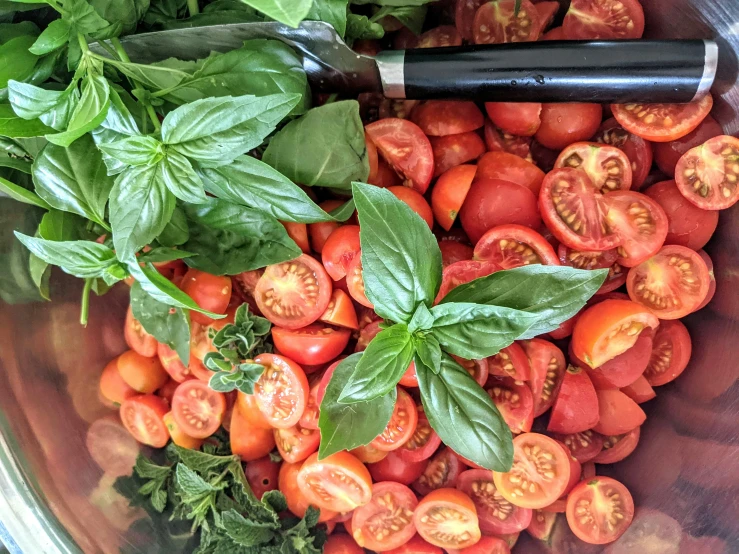 fresh tomatoes and basil are in a bowl with an old bottle